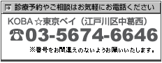 電話番号 03-5674-6646